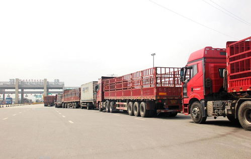 貨運行業新動向 兩會提案聚焦高速免費與多證合一，助力道路貨物運輸代理發展